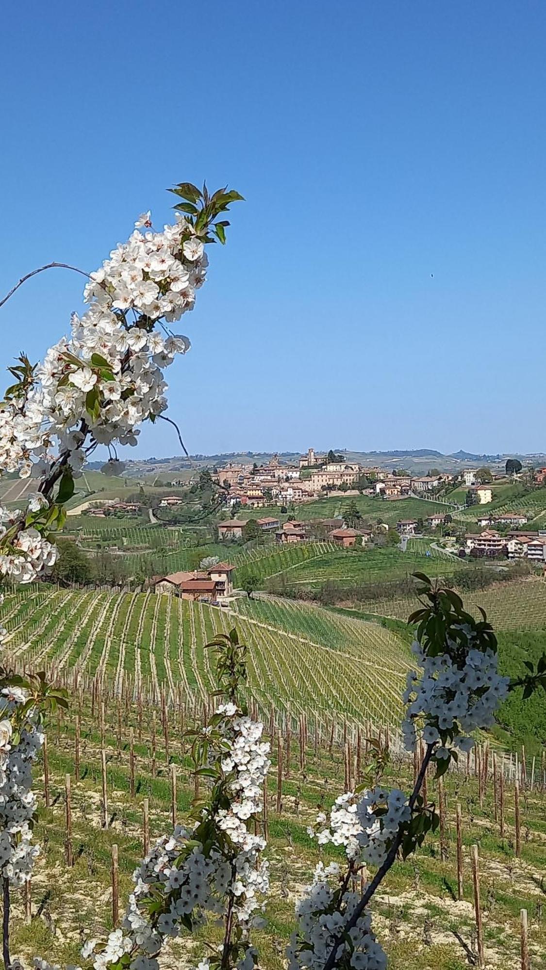 Bed and Breakfast I Quattro Grappoli Neive Exterior foto
