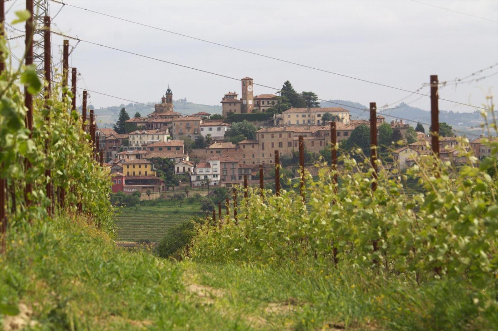 Bed and Breakfast I Quattro Grappoli Neive Exterior foto